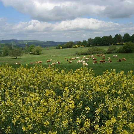 Im Erzgebirge In Apartment *